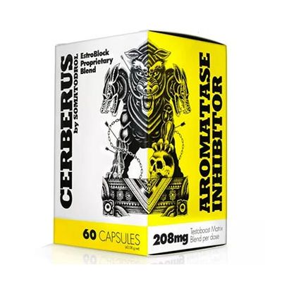 Cerberus Testo Booster 60cps by Iridium Labs