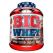 Big Whey 2kg  Universal Mc gregor