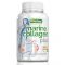 Collagen Marino Plus Quamtrax Nutrition